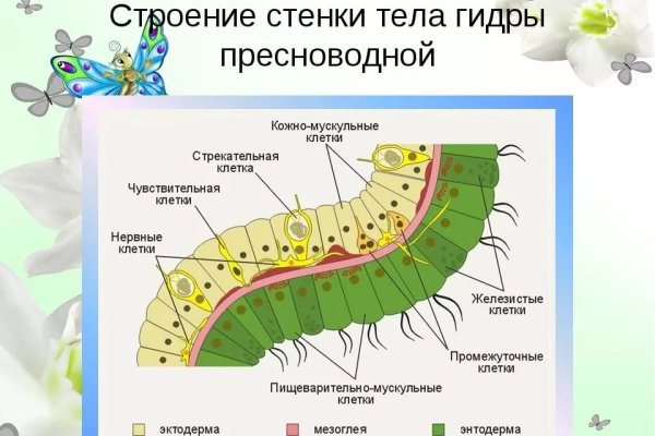 Кракен онион сайт io