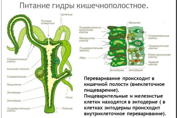 Кракен новый маркетплейс