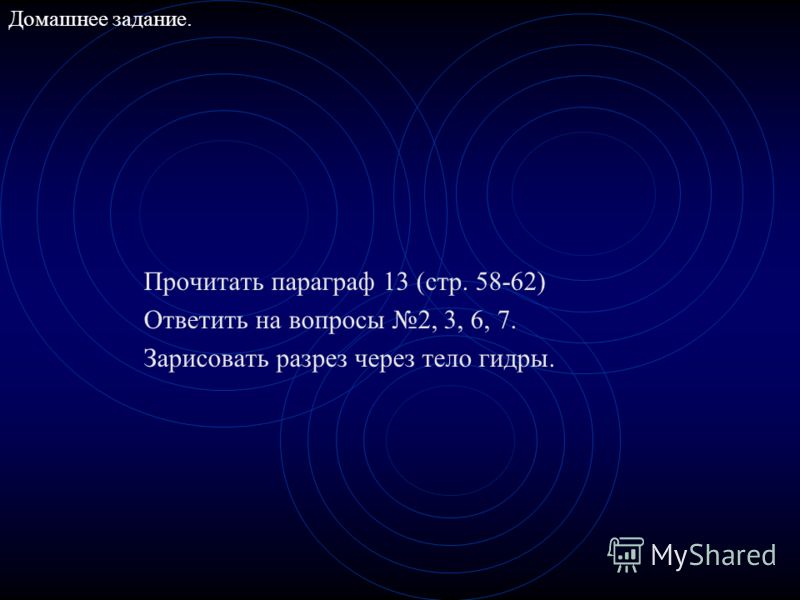 Что такое кракен маркетплейс в россии