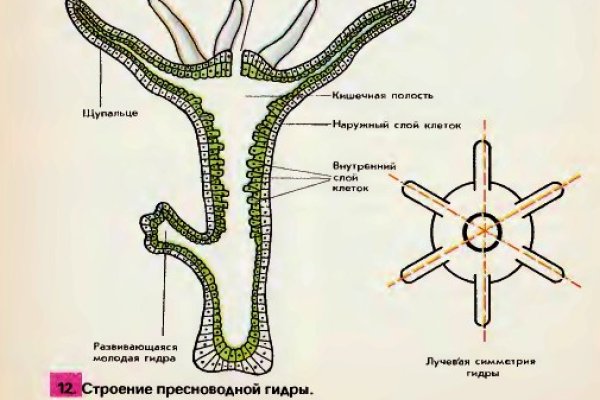 Ссылки даркнет